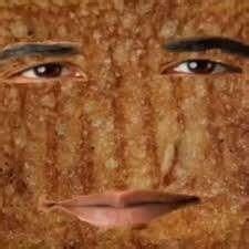 Typo Joe MMXXII – Grilled Cheese Obama Sandwich Lyrics | Genius Lyrics