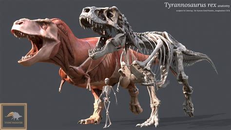 T.rex anatomy .. I've never thought a terrestrial predator could be so massive .. especially ...