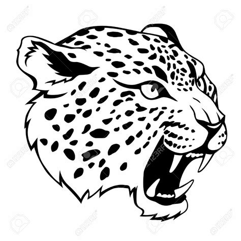 Jaguar dibujo | Pictures to draw, Jaguar, Stylized