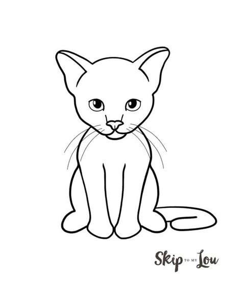 How to Draw a Cat | Simple cat drawing, Drawings, Cat drawing