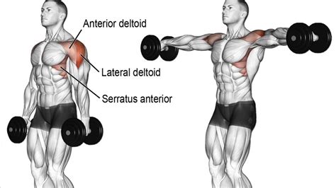 How To Build Bigger Delts: The Top 7 Shoulder Workouts For Men – Fitness Volt