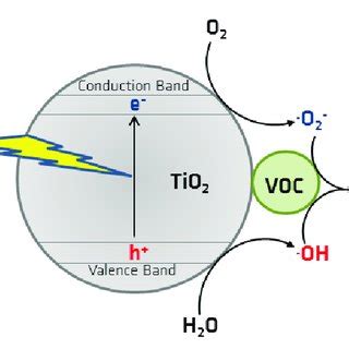 Photocatalytic degradation mechanism. | Download Scientific Diagram