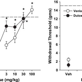 The dual serotonin and norepinephrine reuptake inhibitor duloxetine was... | Download Scientific ...