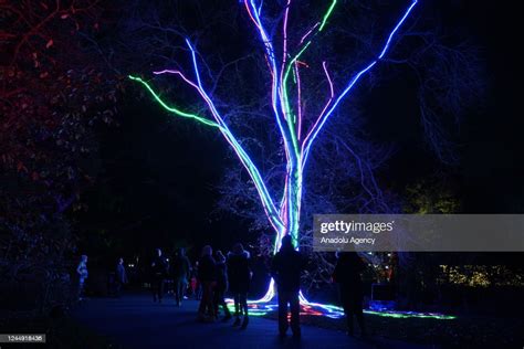 Brooklyn Botanic Garden holidays light show in New York on November... News Photo - Getty Images