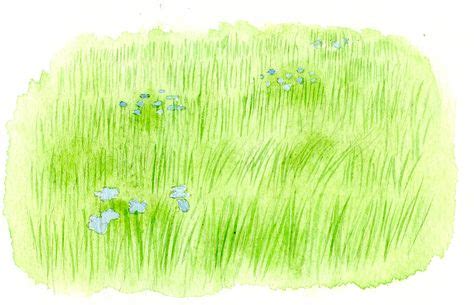 How to Paint Grass in Watercolor: Craftsy Tutorial | How to Draw and ...