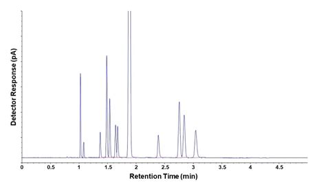 Gas Chromatography Theory