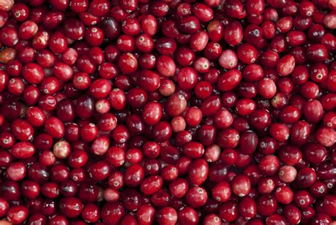 Amazing Benefits Of Cranberry: Powerhouse Of Antioxidants, Heart Healthy And More NDTV Food ...