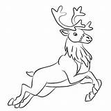 Realistic Reindeer Coloring Pages  Free Printable sketch template