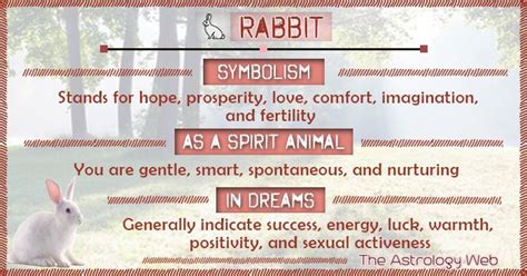 Rabbit Meaning and Symbolism | Rabbit symbolism, Spirit animal meaning, Animal symbolism