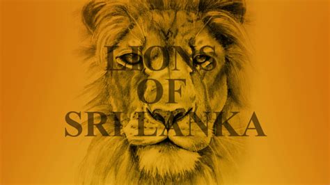 LIONS OF SRI LANKA - YouTube