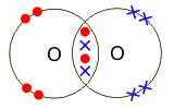 Covalent bonding - IGCSE Chemistry Revision