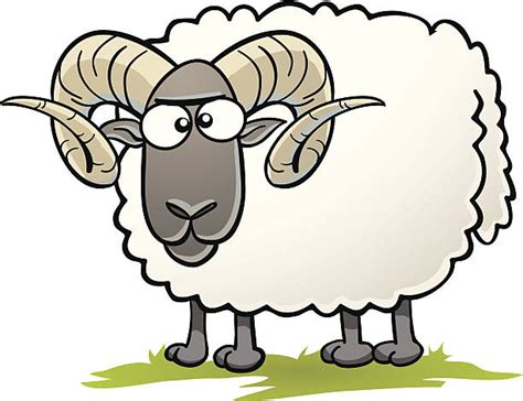 Ram Sheep Cartoon Illustrations, Royalty-Free Vector Graphics & Clip Art - iStock