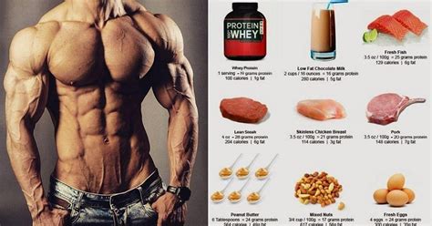 High Protein Muscle Building Foods You Must Start Eating - Bodydulding