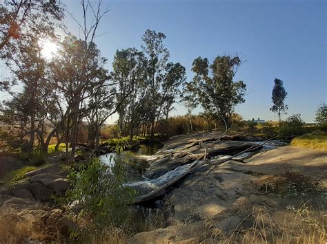 Modderfontein Nature Reserve - Gauteng