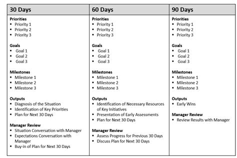 90 Day Entry Plan Template