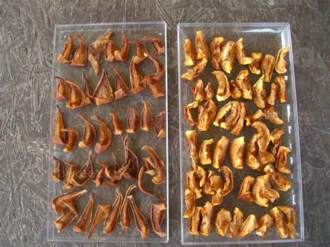 Drying dried fruits in summer for harvesting compotes 11276834 Stock ...