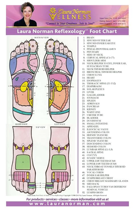 Massage Poster Massage Therapist Foot Reflexology Chart Wrapped Poster | ubicaciondepersonas ...