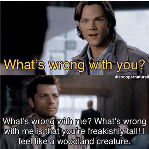 30 Funny Supernatural Memes To Brighten Your Day - The XO Factor