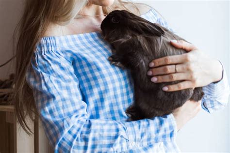 15 Best Small Pets That Like to Cuddle – thepetsavvy.com