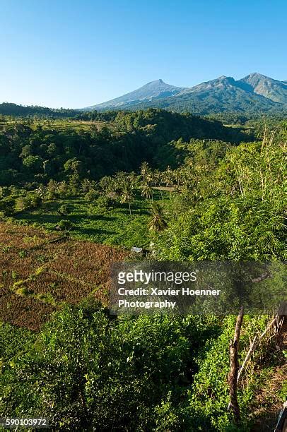 Mount Rinjani National Park Photos and Premium High Res Pictures ...