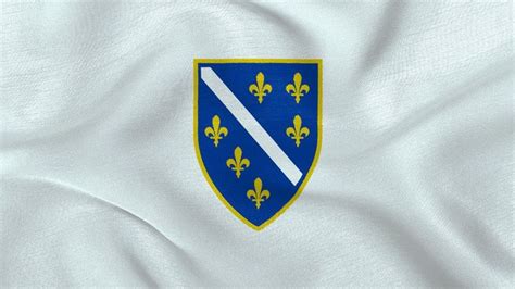 Bosnian Wallpaper | Bosnian flag, Herzegovina flag, Bosnia flag