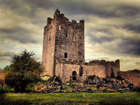 Clonony Castle, County Offaly, Ireland - | Irish castles, County offaly ...