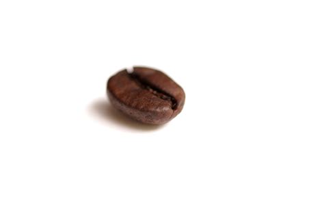 File:Coffee bean.jpg - Wikimedia Commons