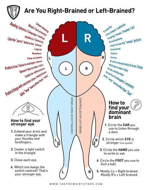 tpt-right-or-left-brain - facts | Right brain, Left vs right brain, Psychology