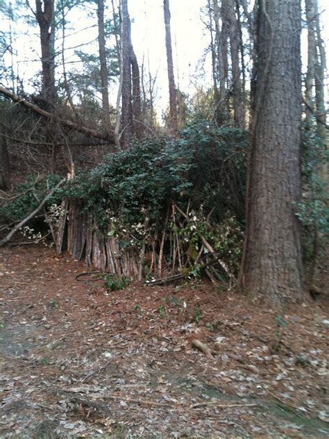 Fort in the woods How To Make Forts, Cool Forts, Cubby Ideas, Wood ...