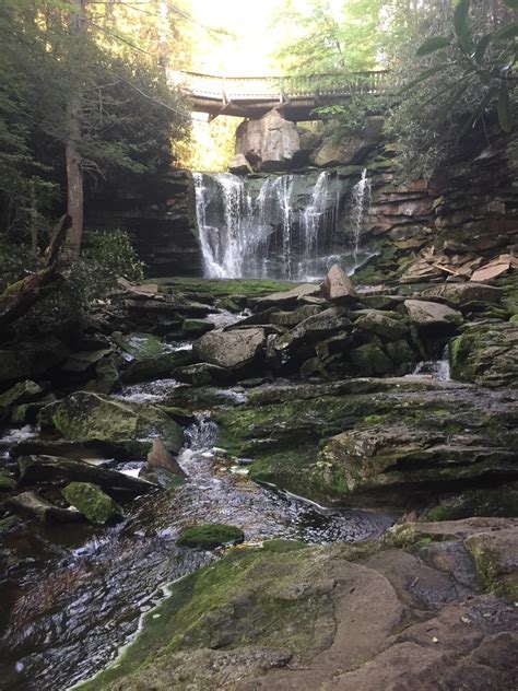 Elakala Falls, West Virginia : r/hiking