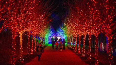 Where to see Christmas lights near me in the USA - AS.com