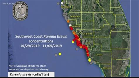 High levels of red tide reported in Sarasota County | wtsp.com