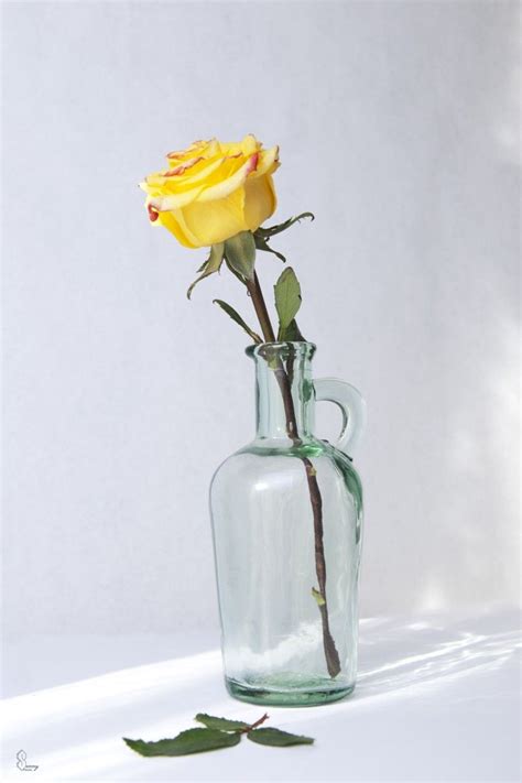 Flowers in a Vase Still Life Photo | flowers-art-ideas.pages.dev