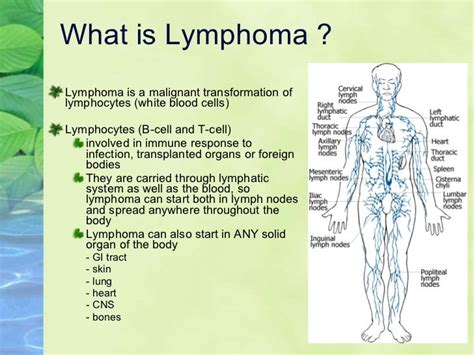 Update on treatment for lymphoma, Lymphoma Support Ireland meeting