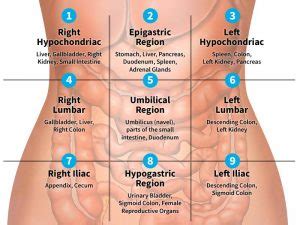 Pain: When does Acute turn into Chronic? • Young Crohns