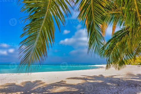 Sunny tropical island beach with palm tree leaves, shadows on white sand, sunny sky turquoise ...