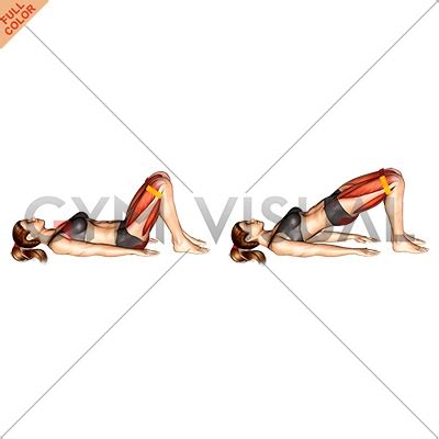 Resistance Band Glute Bridge (female)