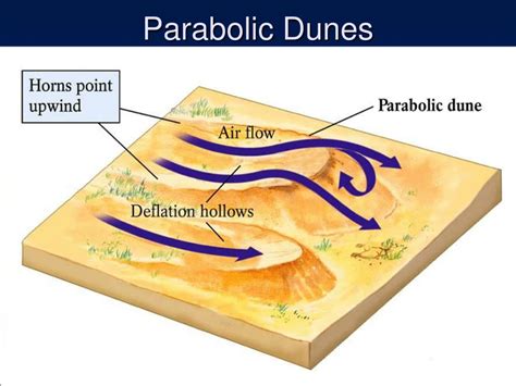 PPT - Deserts PowerPoint Presentation, free download - ID:3135113