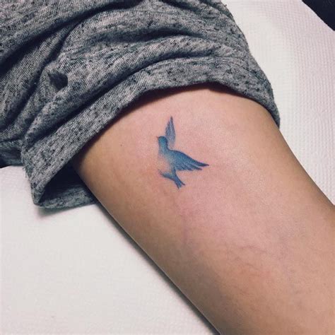 Bluebird Tattoos Designs, Ideas and Meaning - Tattoos For You