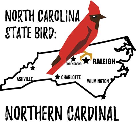 North Carolina State Bird - Bird Watching Academy