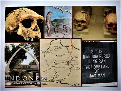 Sangiran Early Man Site - Indonesia | Man, Indonesia, Java man