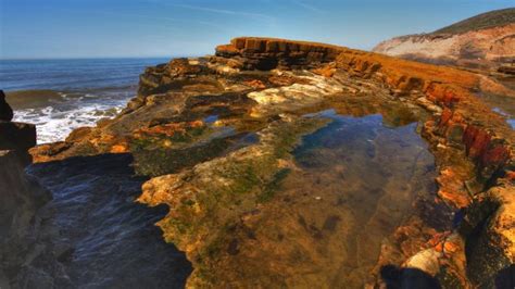 Point Loma Tide Pools, San Diego, CA - California Beaches