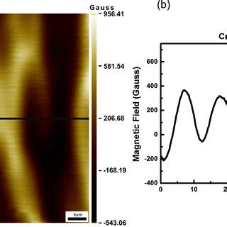 (a) Magnetic image of NdFeB demagnetized magnet by using GHP at 300 K.... | Download Scientific ...