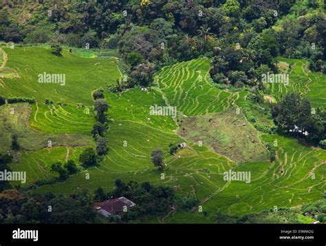 Sri Lanka landscapes Stock Photo - Alamy