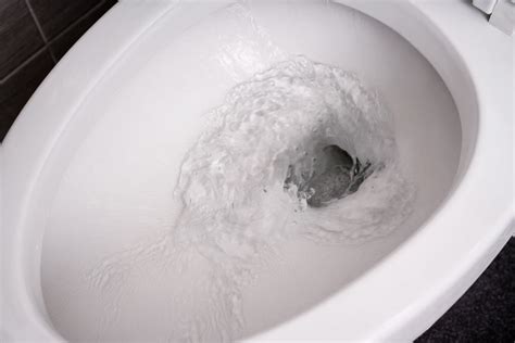 5 Most Common Reason Why Toilet Not Flushing All The Way