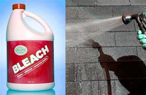How to Clean Roof Shingles with Bleach | RoofScour