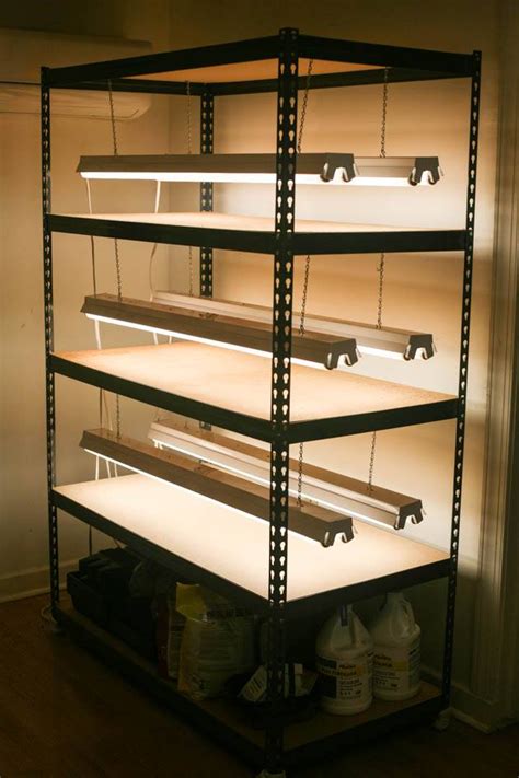 DIY Grow Light Stand For Indoor Seed Starting | Grow light stand, Indoor vegetable gardening ...