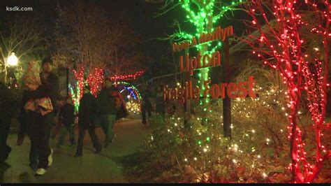 Saint Louis Zoo Wild Lights returns in 2020 | ksdk.com