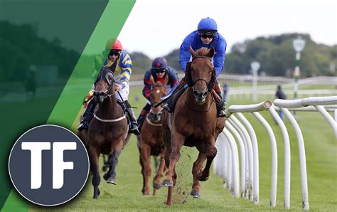 Horse Racing tips: Timeform's best bets at Exeter on Thursday