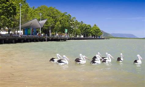 Walking - Esplanade Boardwalk, Cairns Traveller Reviews - Tripadvisor